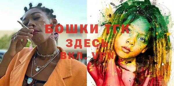 тгк Абаза