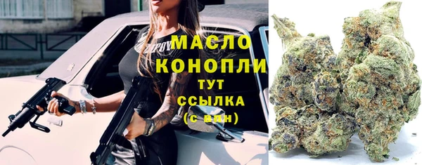 тгк Абаза