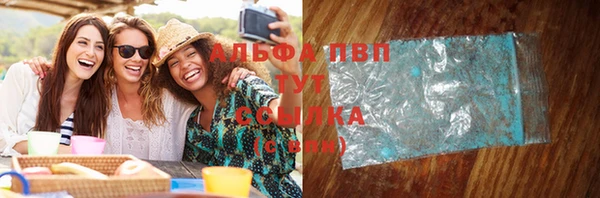 тгк Абаза