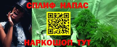 индика Партизанск