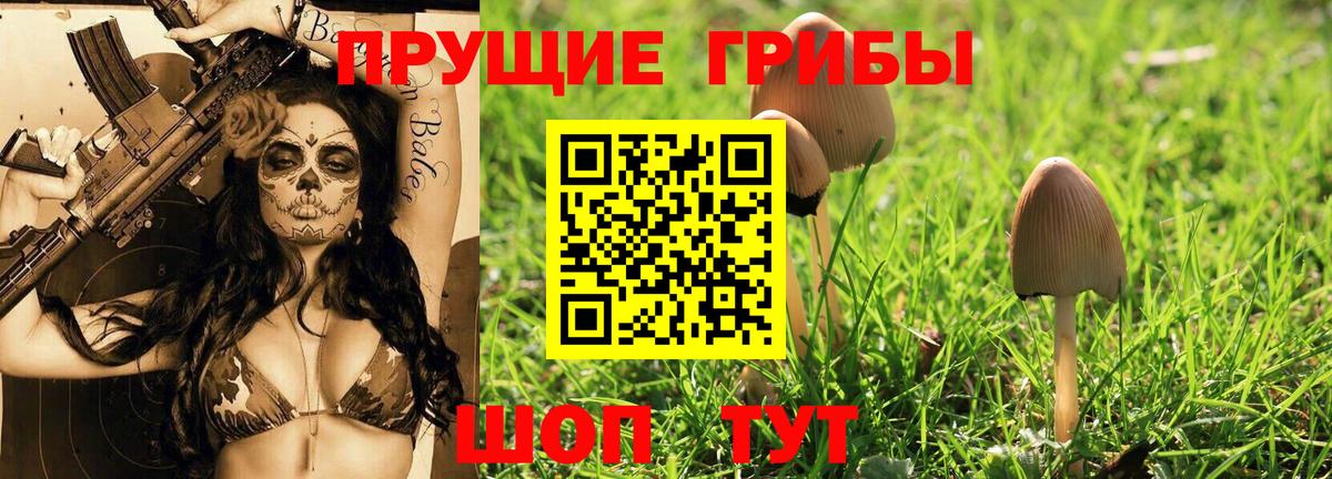Псилоцибиновые грибы Psilocybine cubensis  Вход с VPN  Оренбург 